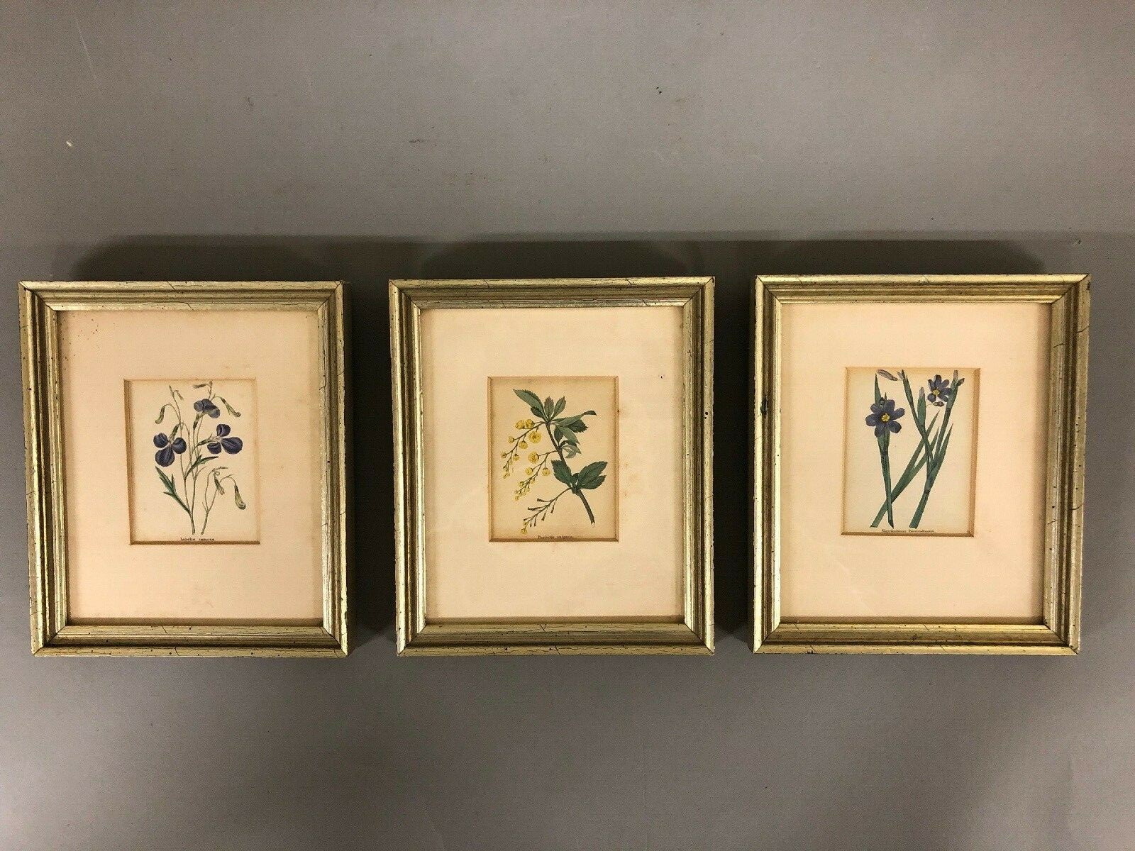 水彩画 BEN VENUE 1833 水彩画 BEN VENUE 1833 Big Ben / 山口潔子アートワークス