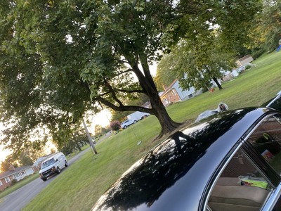 image 21 of exterior