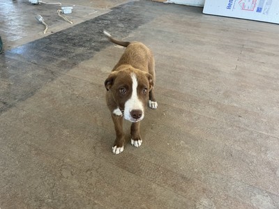 image 1 of other