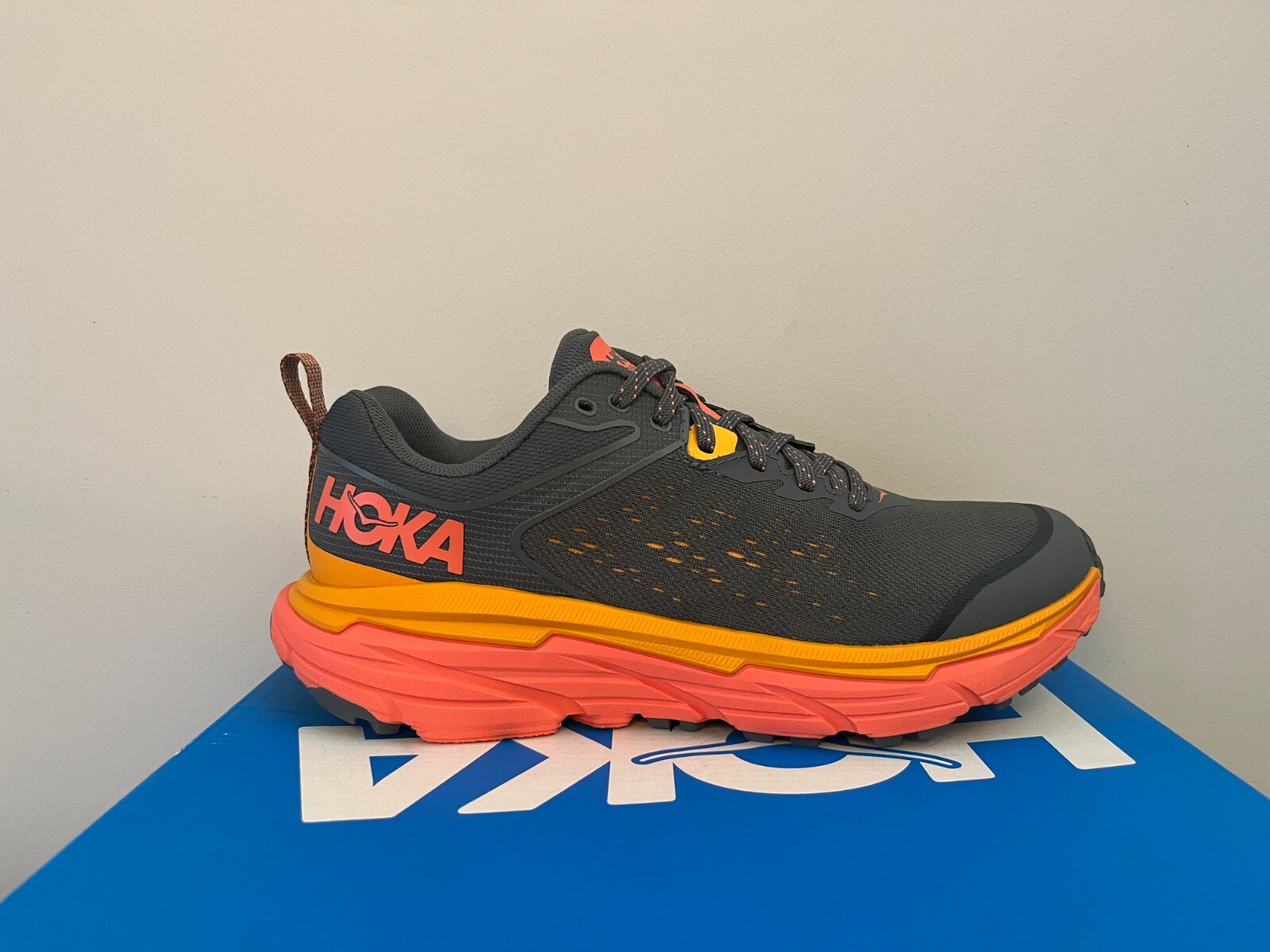 Женские кроссовки HOKA Challenger ATR 6 Wide 1106514 CCLL