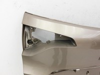 Renault Scenic IV J9 16-20 Beplankung untere Verkleidung für Kofferraumdeckel Heckklappe TEHNP Renault Scenic IV J9... Vorschau 2