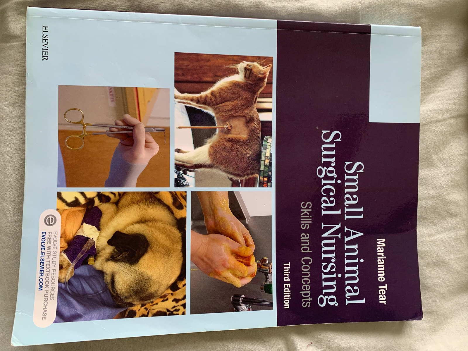 動物看護学 ANIMAL NURSING 動物看護学 ANIMAL NURSING 81NAZPvyhcL._UF350,350_QL50_.jpg