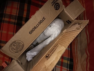 Item photo(s) from verified buyer