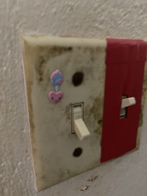 Artikelfoto(s) von einem verifizierten Käufer