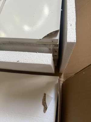 Artikelfoto(s) von einem verifizierten Käufer