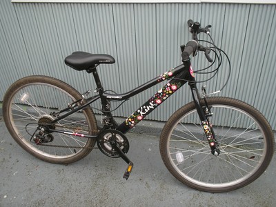 apollo kinx hybrid 24