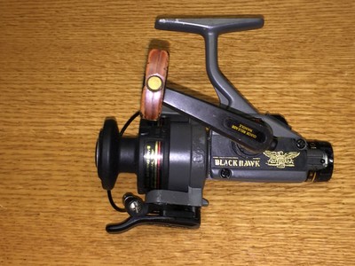 fenwick rod and reel combo