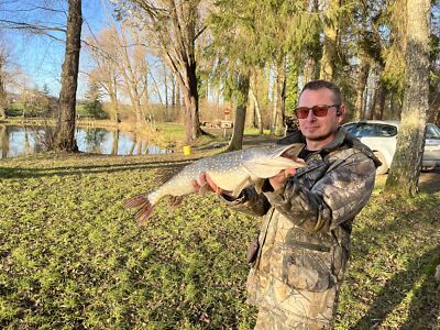 Artikelfoto(s) von einem verifizierten Käufer