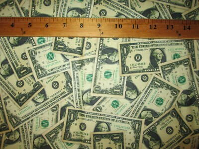 DOLLAR BILLS REALISTIC MONEY BILL CASH DIGITAL PRINT COTTON FABRIC FQ 