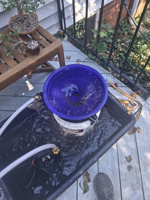 Fotos del artículo de un comprador verificado