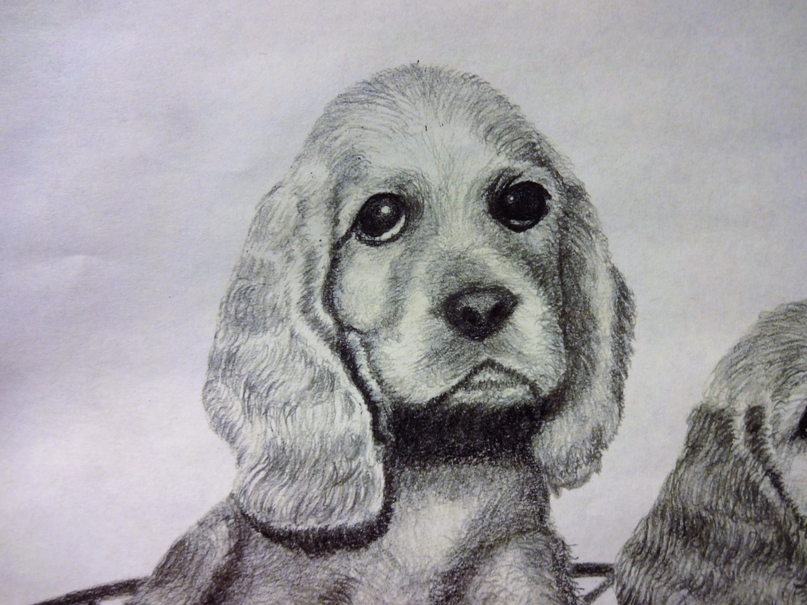 Original Graphite Drawing of 2 Puppy's Signed Moe 8