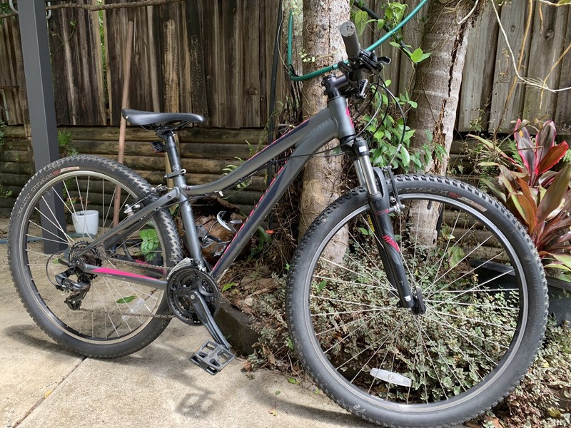 gumtree specialized mountain bike