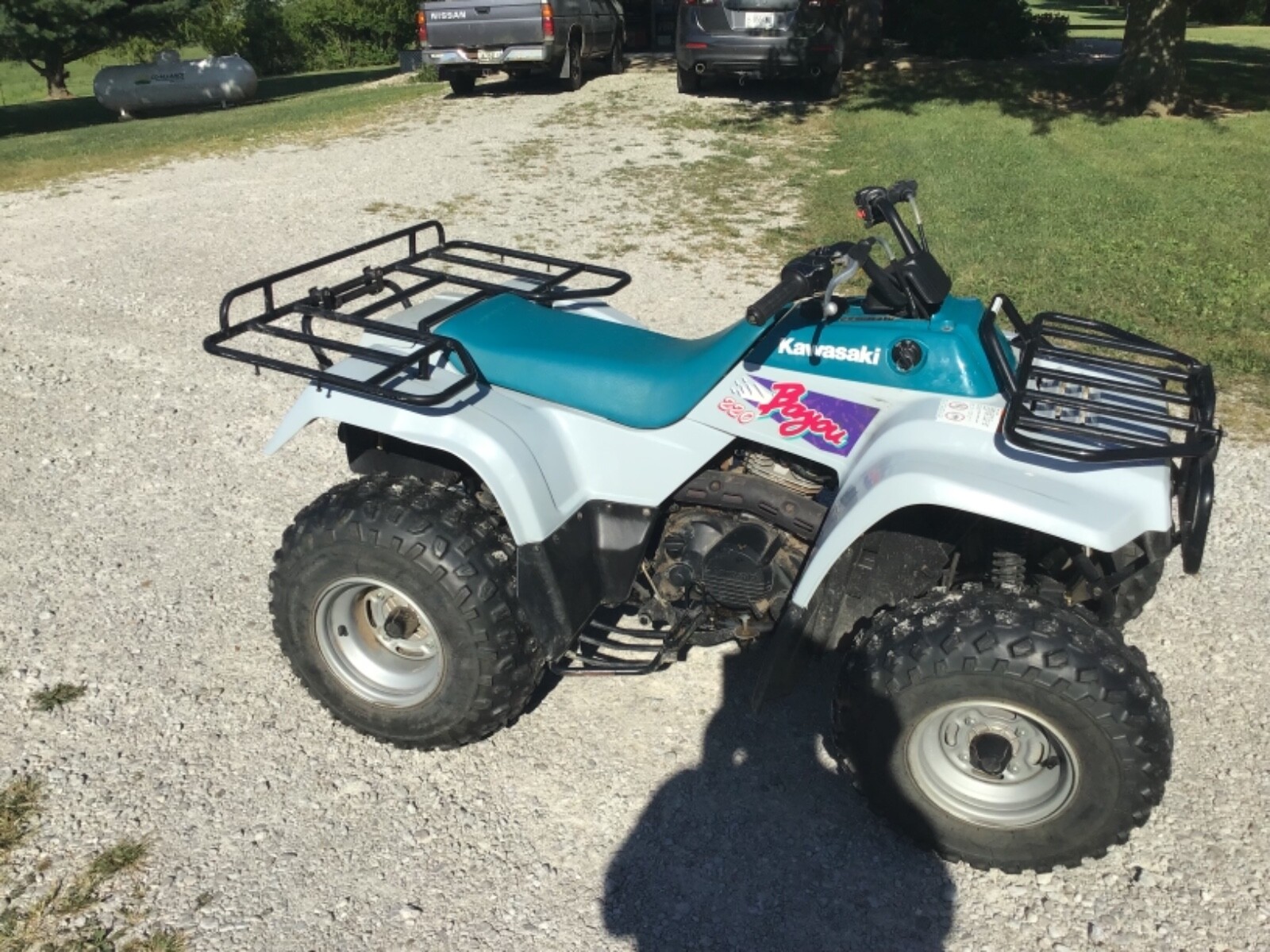 Kawasaki Bayou 220 1995