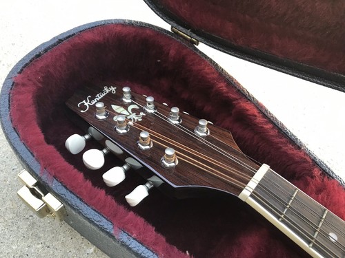 Kentucky km250s style mandolin hard case Nice!