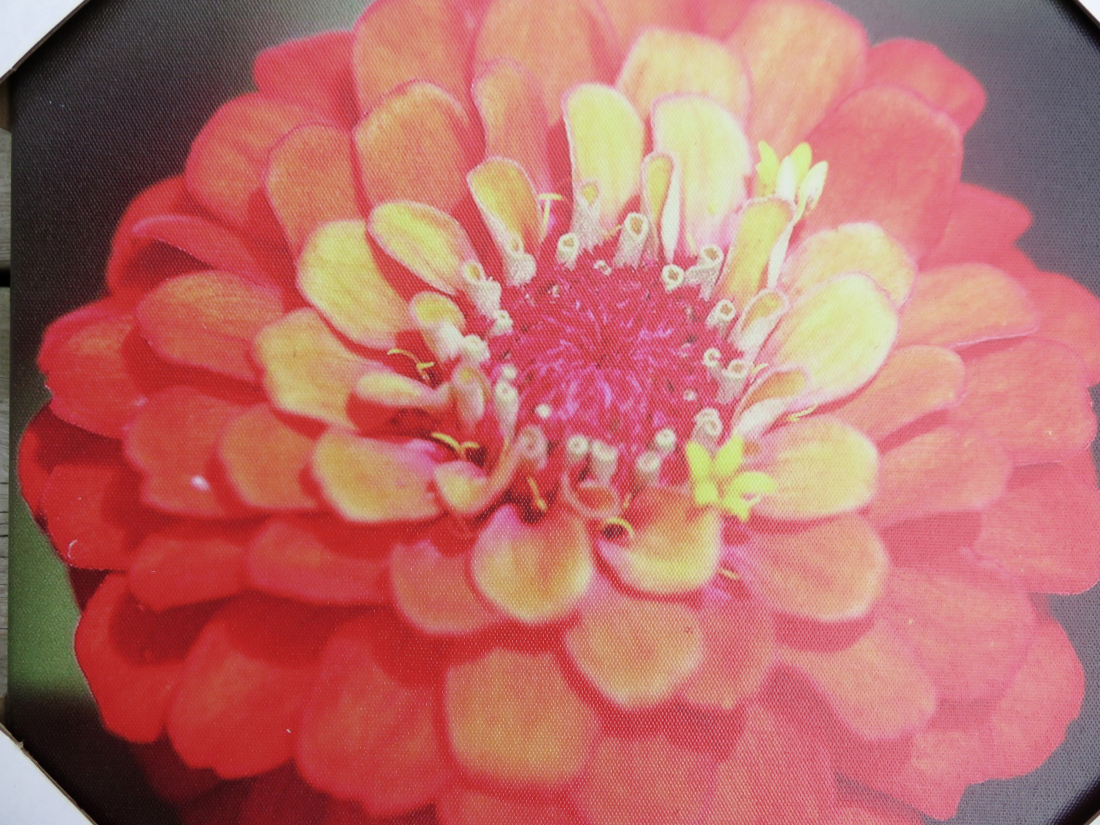 OUTDOOR CANVAS WALL PLAQUE GARDEN DECOR 12in.x12 in yard decor Orange Flower