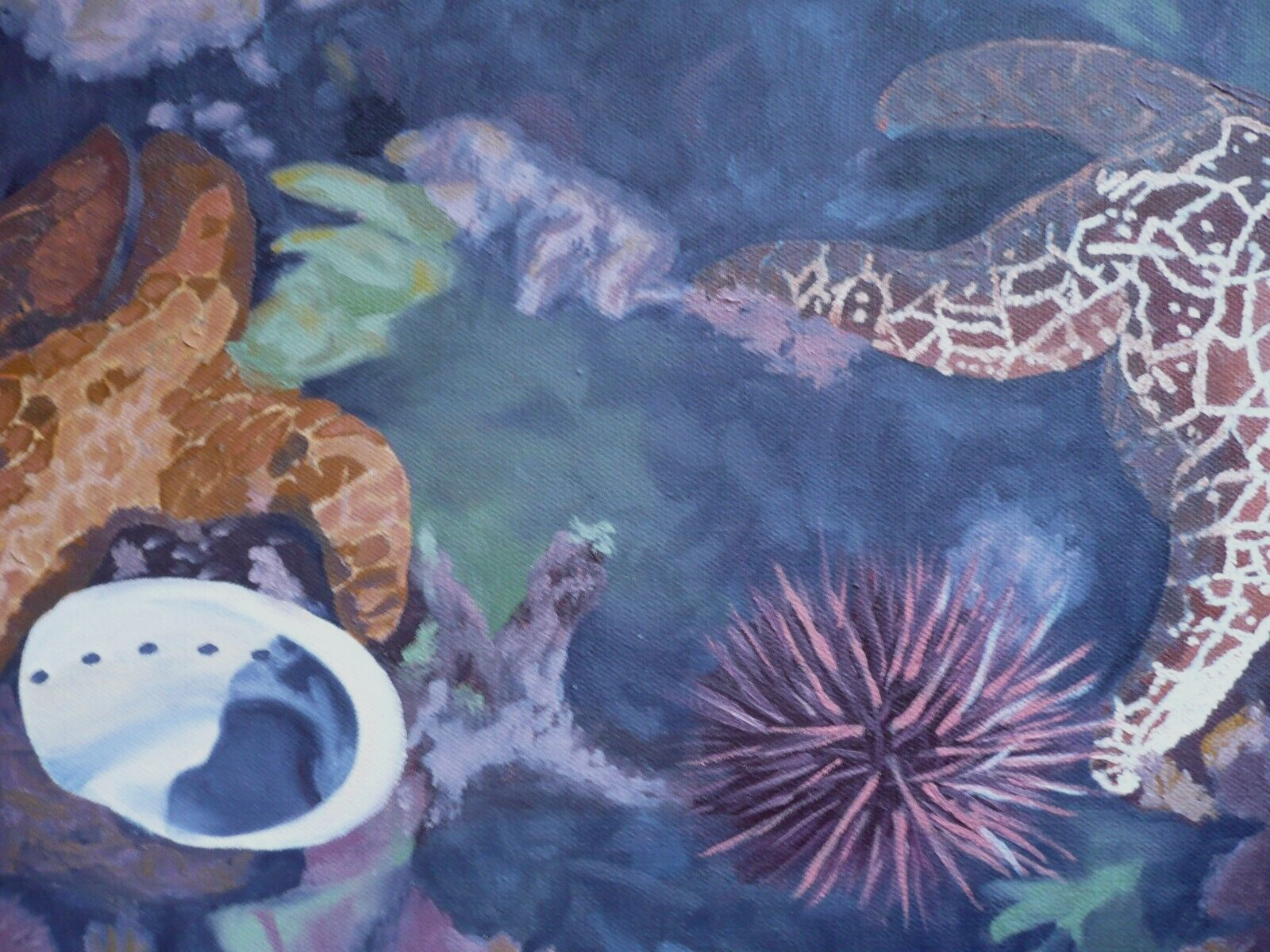 FRANKIE BARNETT, OCEAN INTERIOR REALISM TIDEPOOL STARFISH OCEAN SHELLS ROCKS OIL