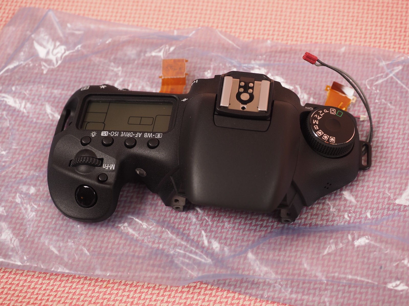 CANON model 7 整備済　810204 CANON model 7 整備済 810204
