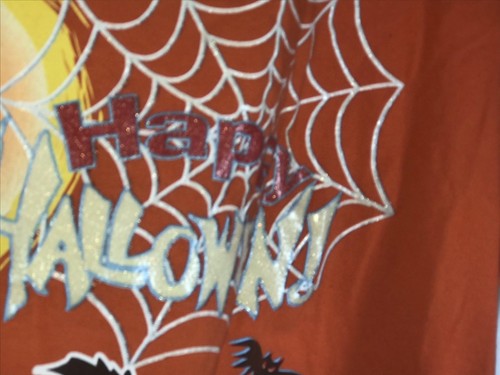 Vintg Time 2 Celebrate Halloween Cat Jack o'Lantern Spider Web T-Shirt 52