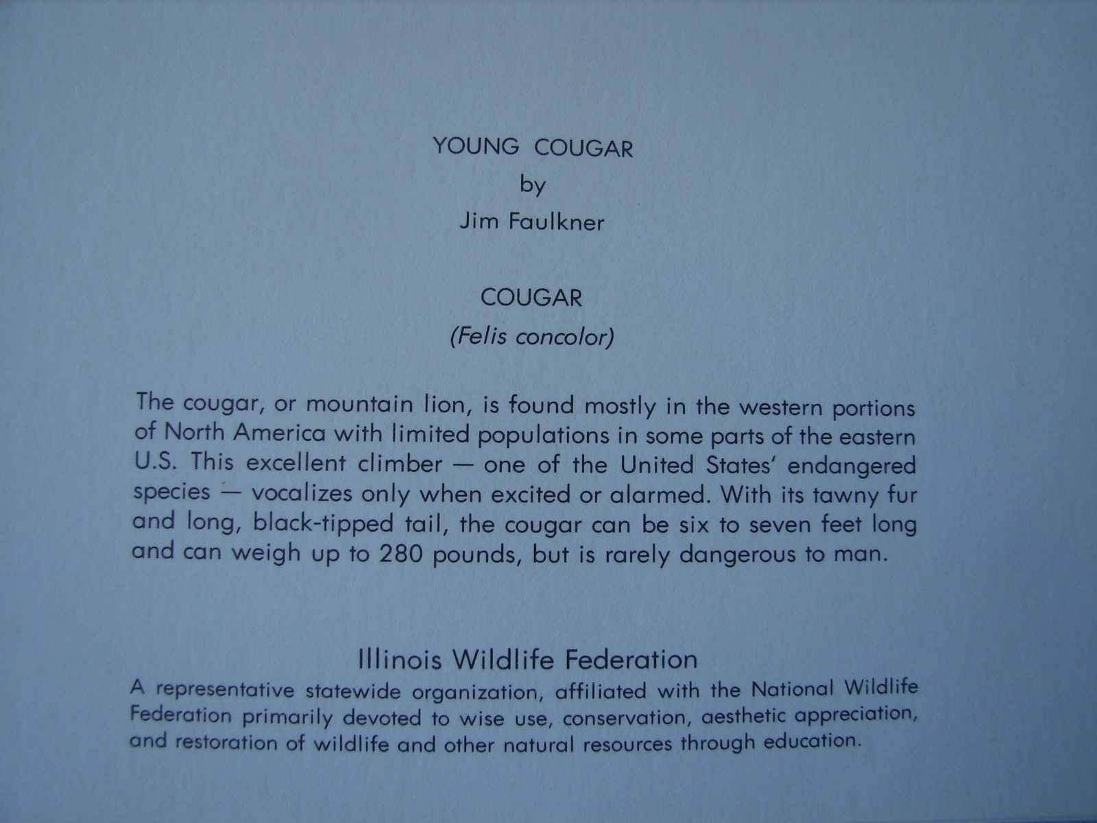 Box of 13 Assorted Blank Note Cards with Envelopes Illinois Wildlife Federation