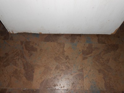 Vintage/Antique  General Use Interior Double Doors