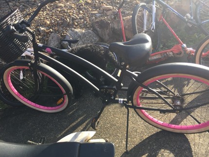 skull and bones cruiser bicycle