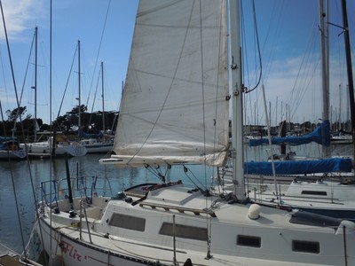 sailboats 28 feet 1976 Schock "Santana"