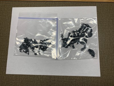 Warhammer Flesheater Courts Bits
