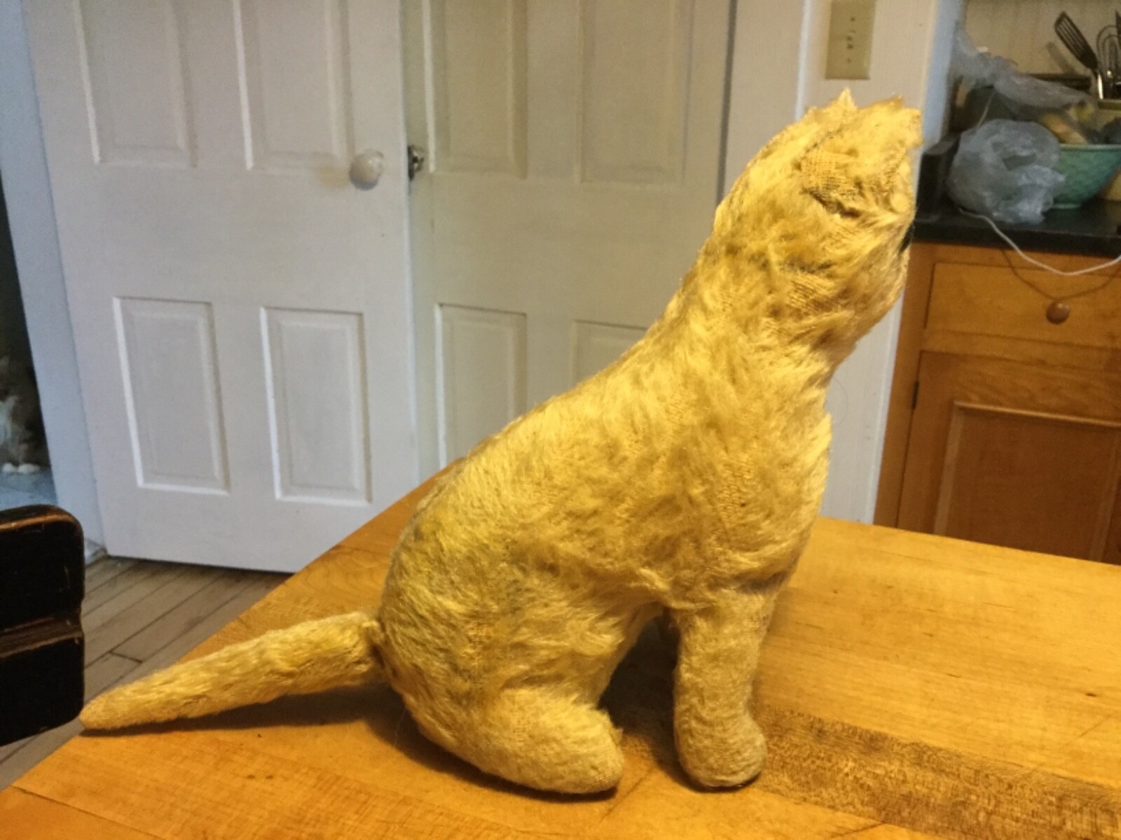 Early 1900’s Antique Steiff Mohair Cat No ID Timeworn Condition