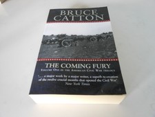 40+ The Coming Fury PNG