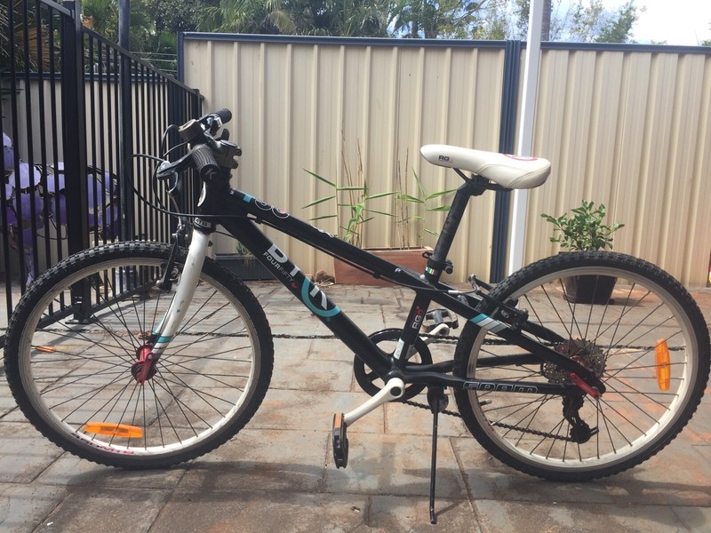 gumtree 20 inch bike