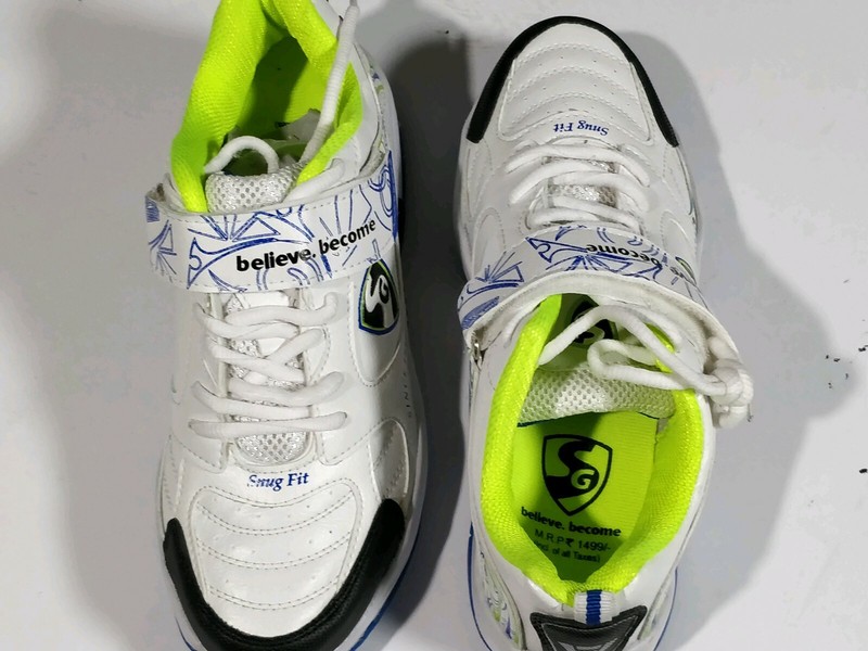 sg cricket sports shoes