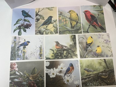 9 Catherine McClung 1 Bob Henley Birds Blank Greeting Note Cards w/ Env VTG 2001