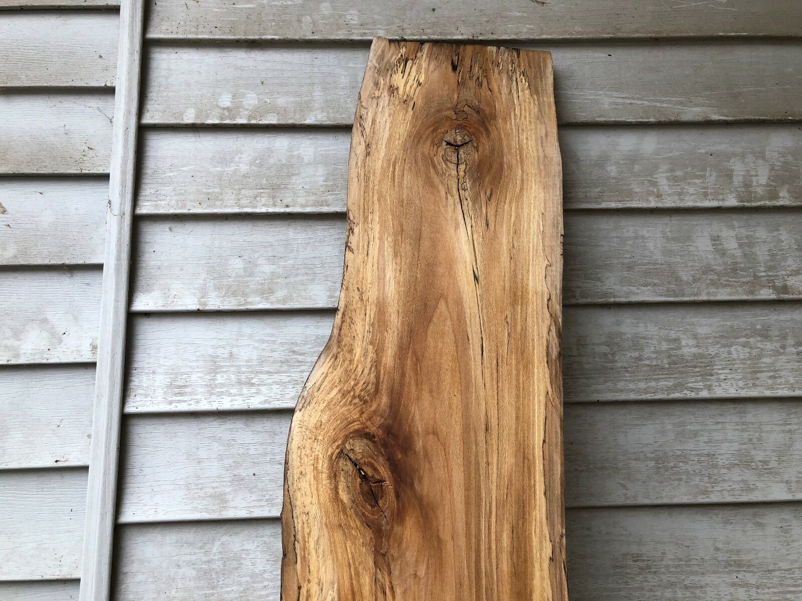 Spalted  Natural Edge  Sycamore slab