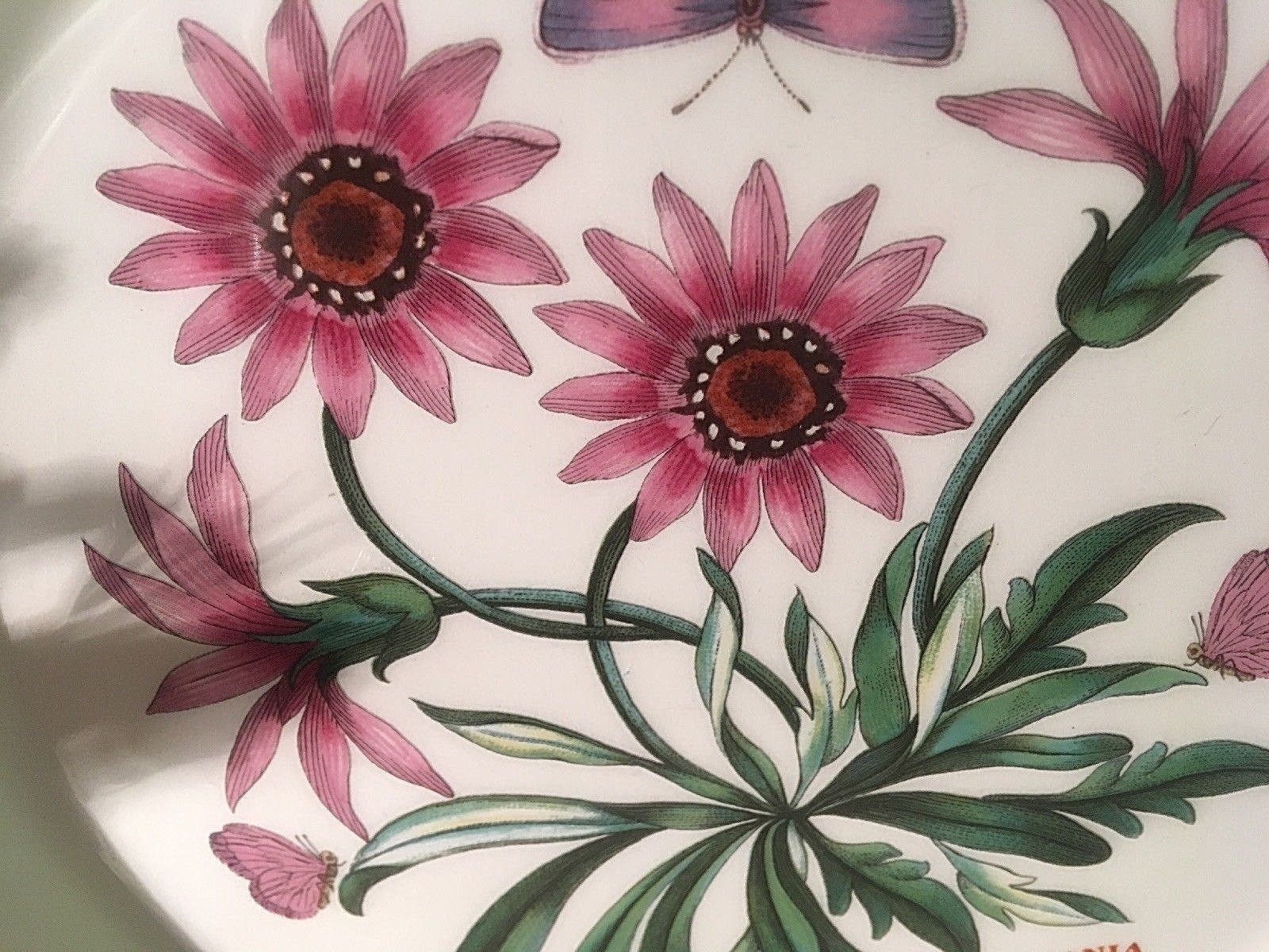 Portmeirion BOTANIC GARDEN (TREASURE FLOWER ) - Salad Plate 81/2