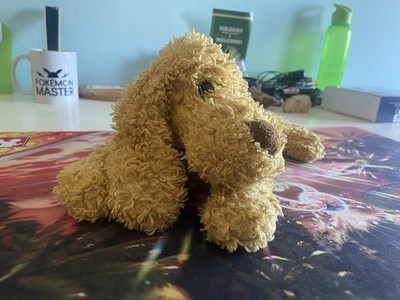Photos de l'objet d'un acheteur vérifié