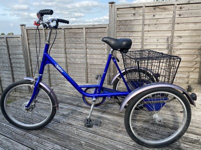 pashley picador tricycle