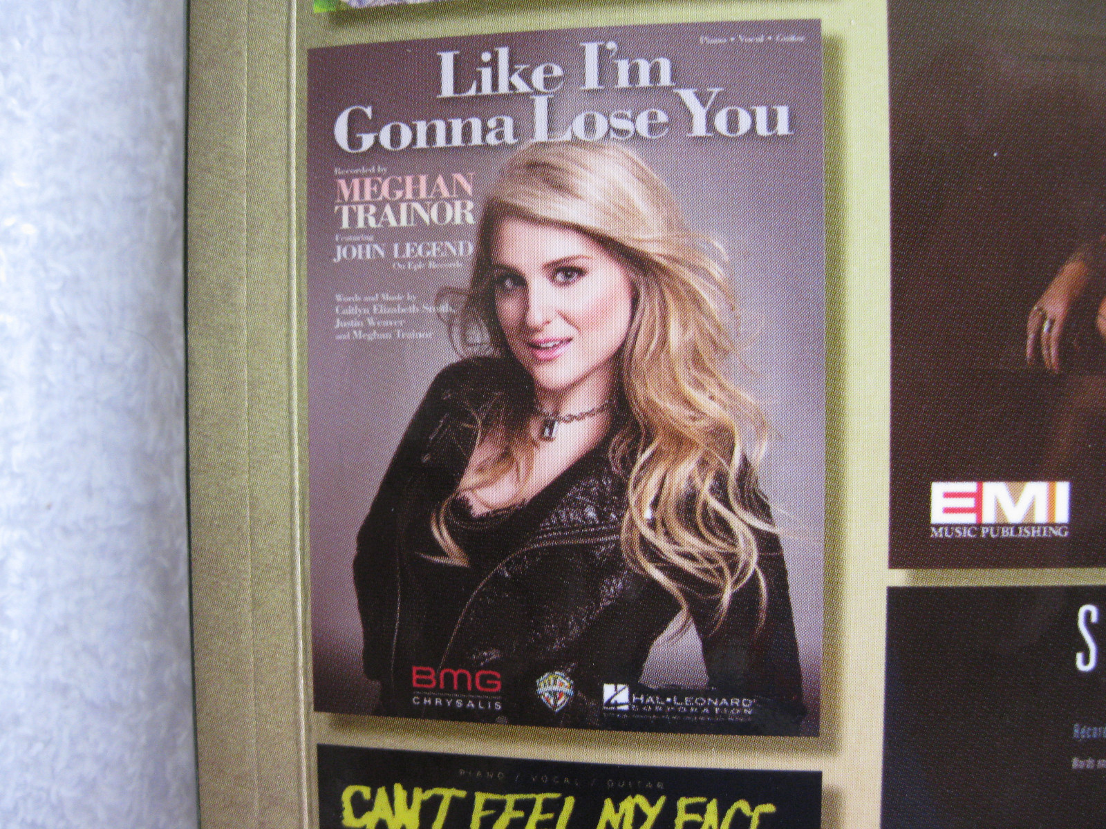 Chart Hits from 2015 & 2016 for Piano, Vocal and Guitar