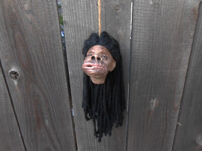 Harry Potter Talking Shrunken Head Warner brothers , Universal Studios 