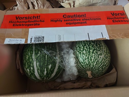 Artikelfoto(s) von einem verifizierten Käufer