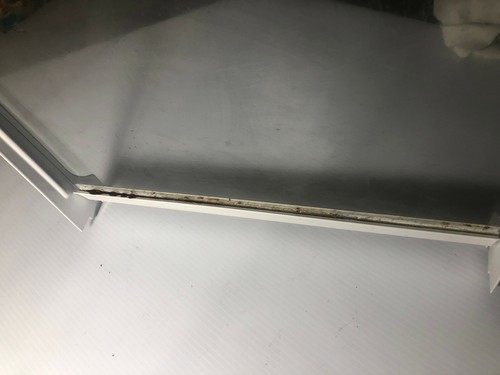 2173421 Kenmore 106.9631620 Shelf 2173421 whirlpool