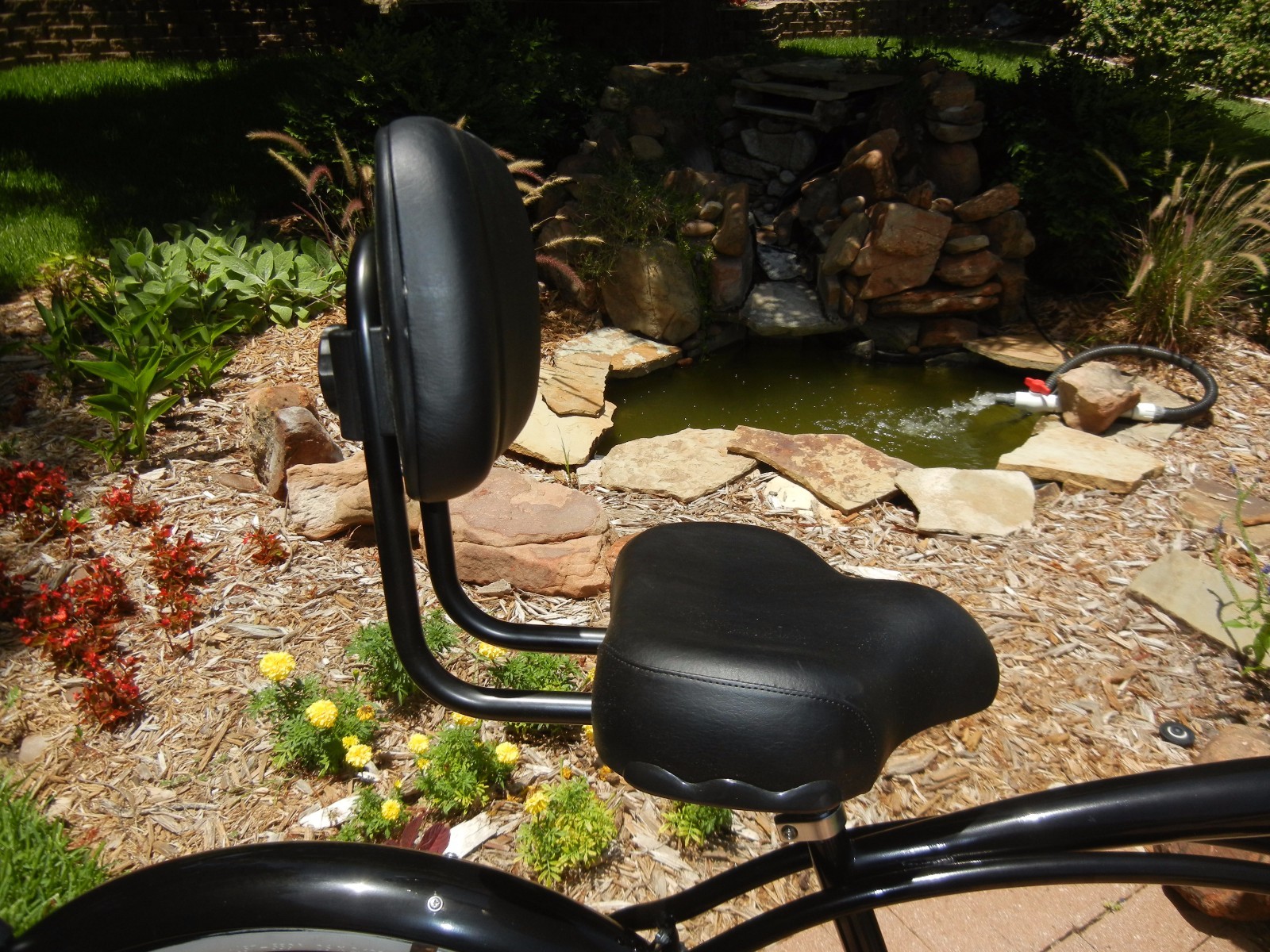 micargi bicycle seat with backrest