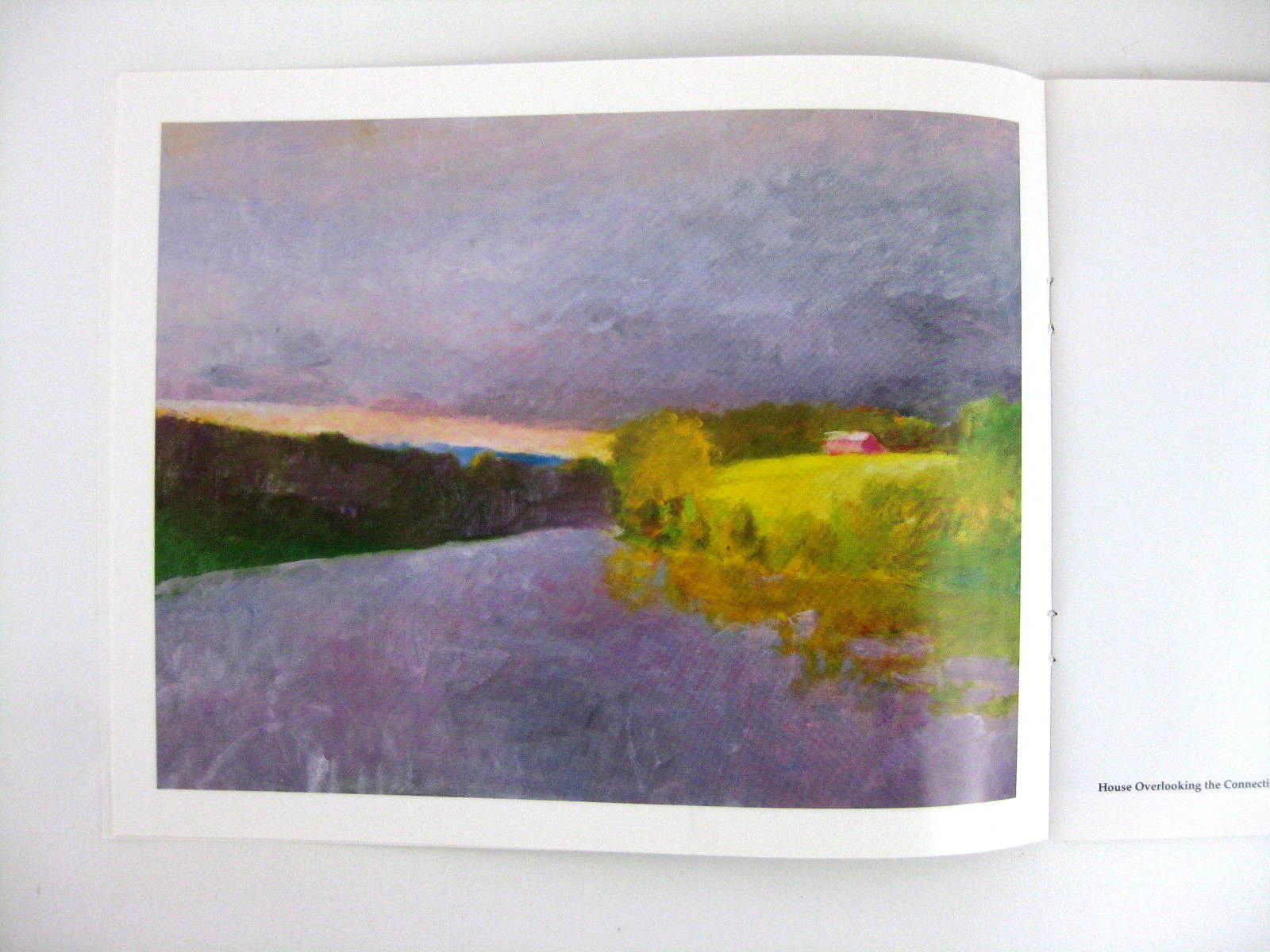 Wolf Kahn Landscape Painter Art Exhibition Catalog Grace Borgenicht NY 1993