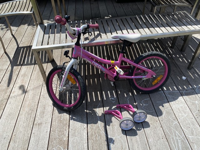 apollo neo 16 bike