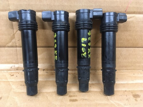 その他 Re Anti-SOX17 Antibody AF1924: R&D Systems