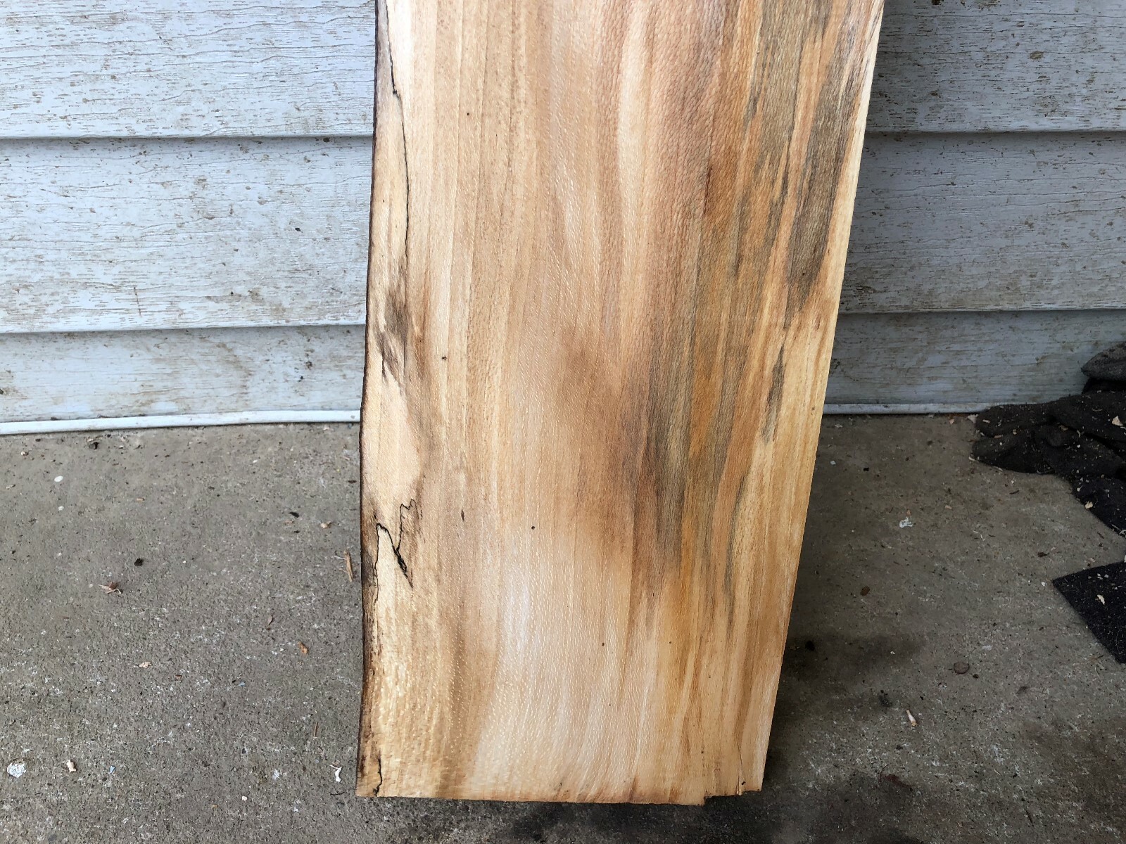 Quartersawn Natural Edge one side Sycamore slab