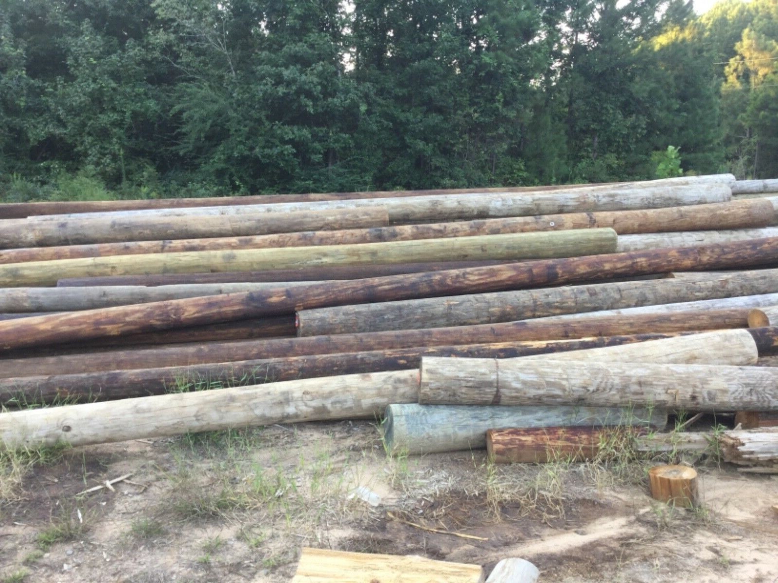 1each Treated Wood  Posts 8-12 Inch Diameter 40 Feet long
