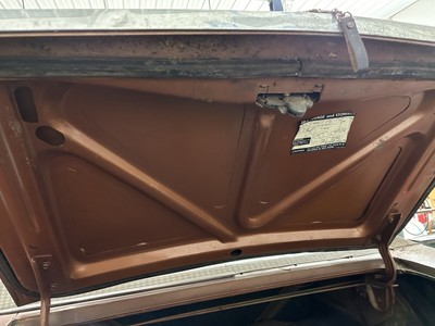 image 6 of interior