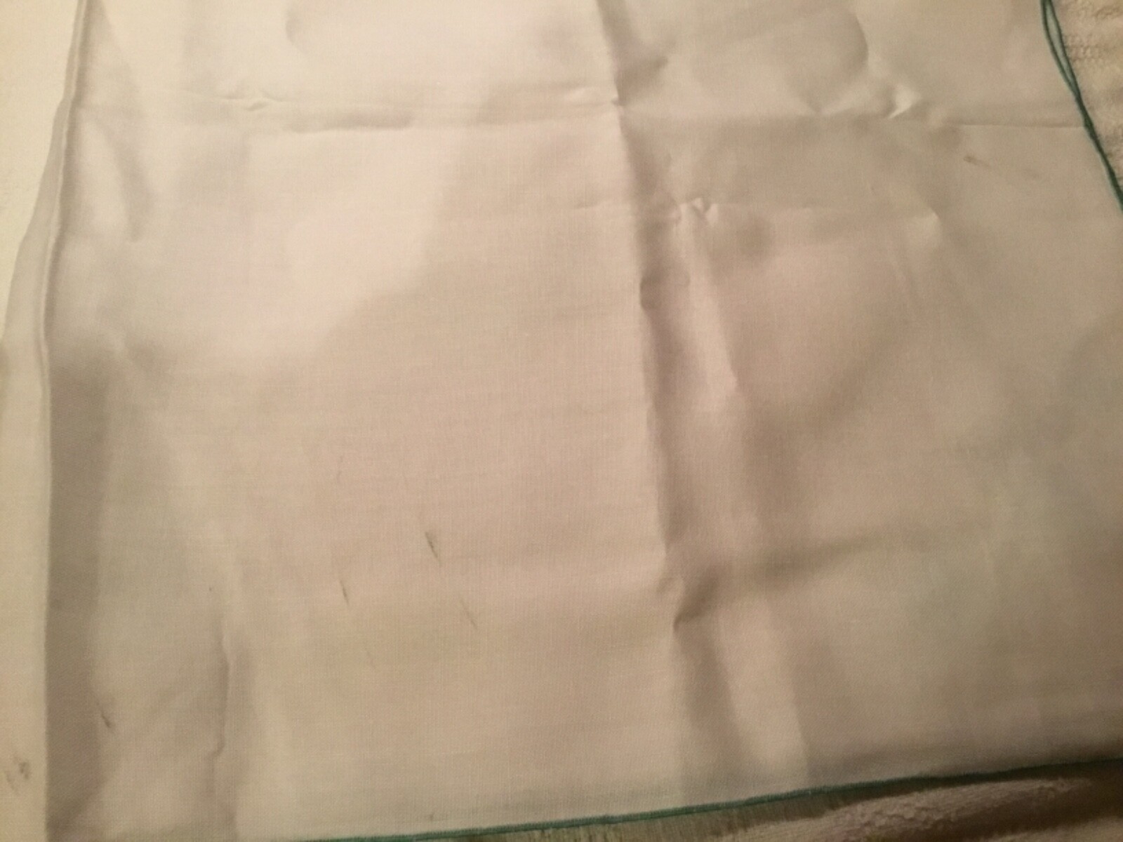 Elegant  Hand Embroidered table cloth & Napkins Linens mint color grape design