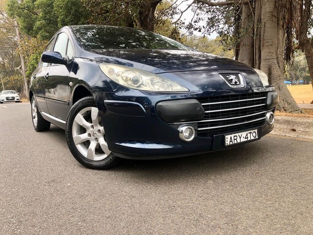 Canbus peugeot 307