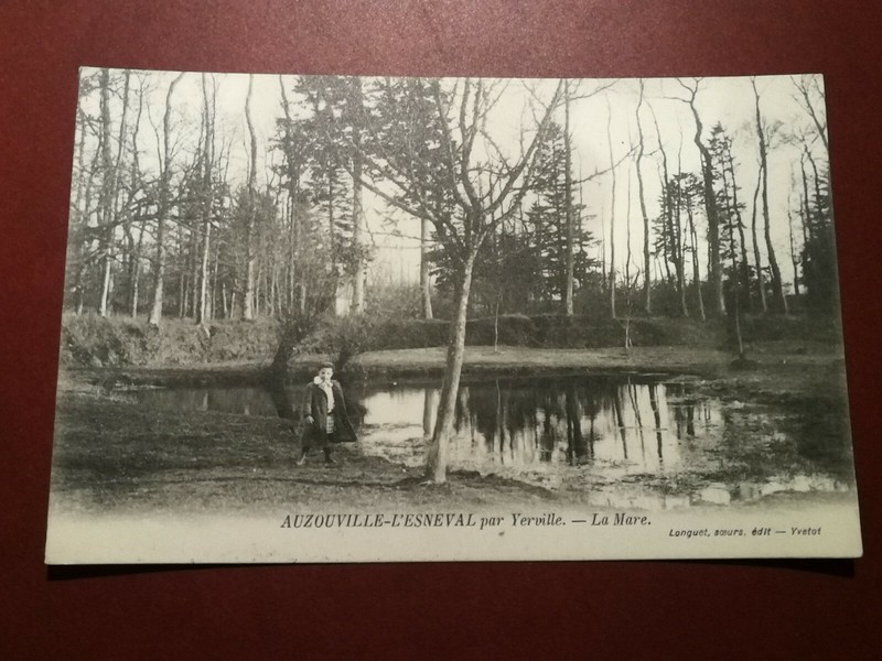 Cpa - 76 - Auzouville-L'Esneval Par Yeville - La Mare